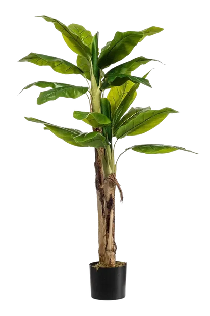 Künstlicher Bananenbaum - Maliora, 140 cm, Kunstpflanze von aplanta, UV-beständig, inkl. Startertopf, in Natur, für drinnen