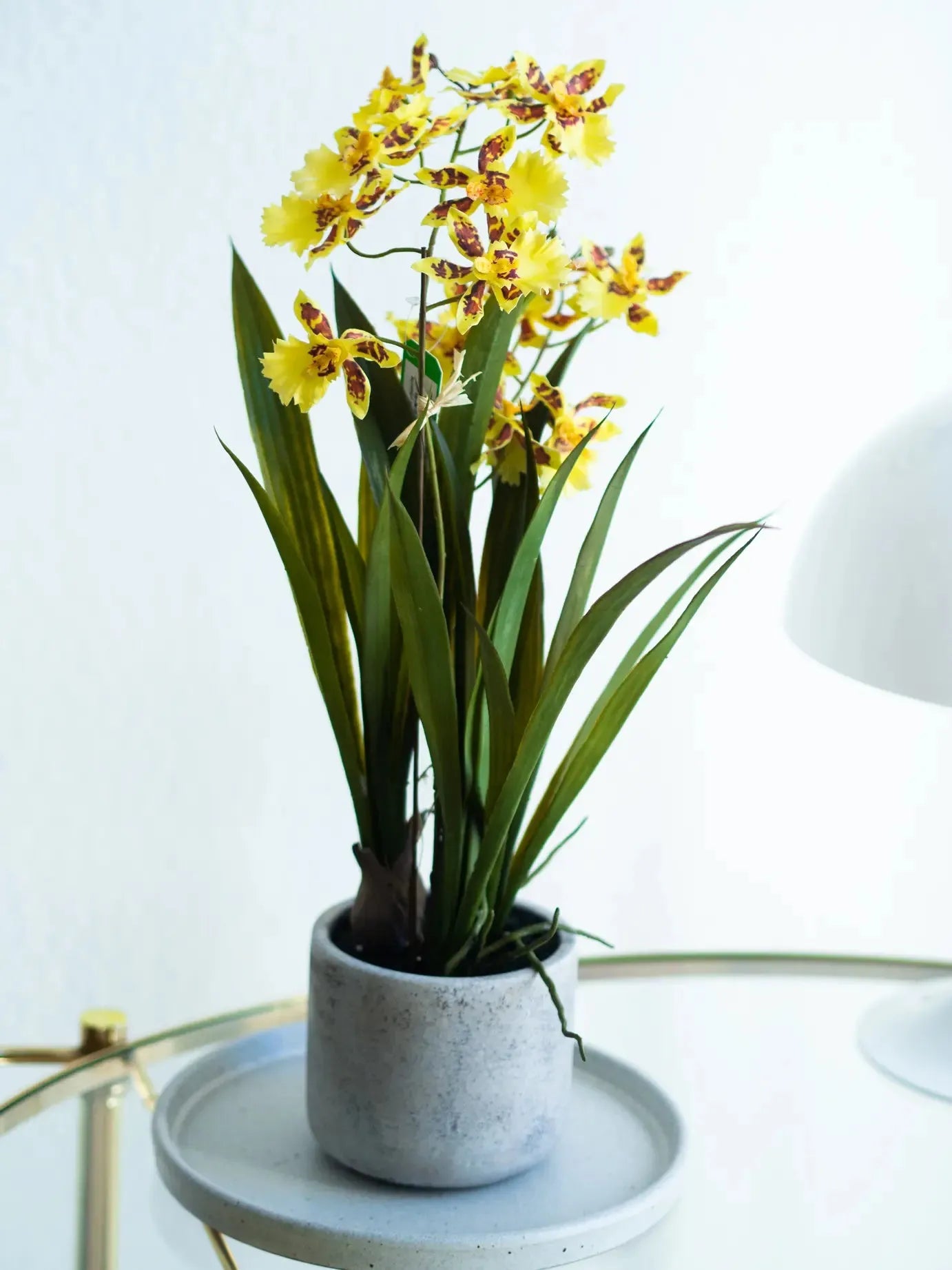 Künstliche Orchidee - Lilli | 45 cm