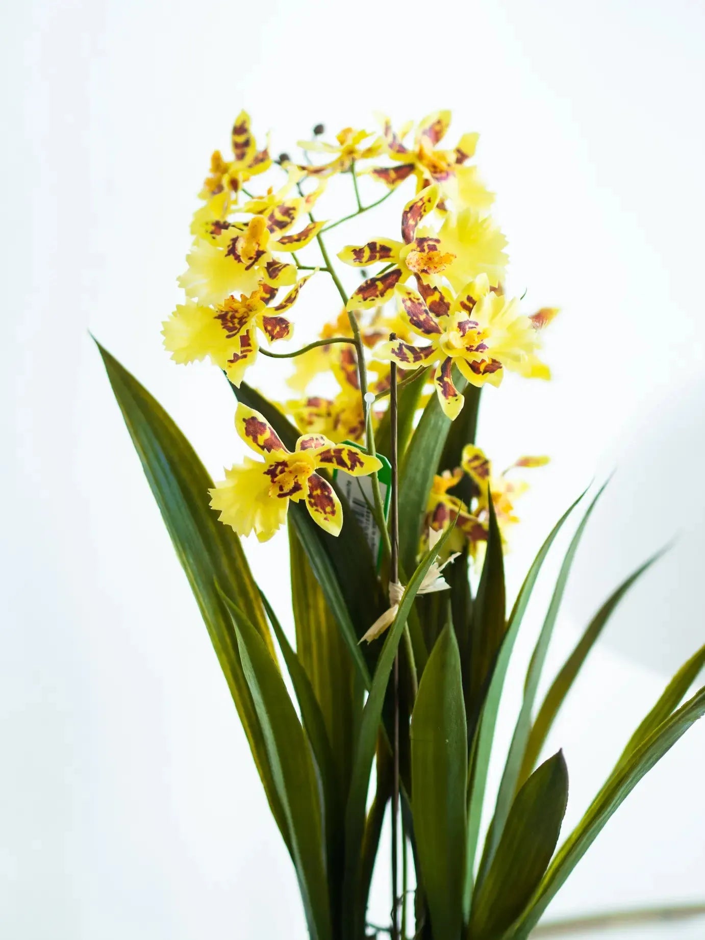 Künstliche Orchidee - Lilli | 45 cm