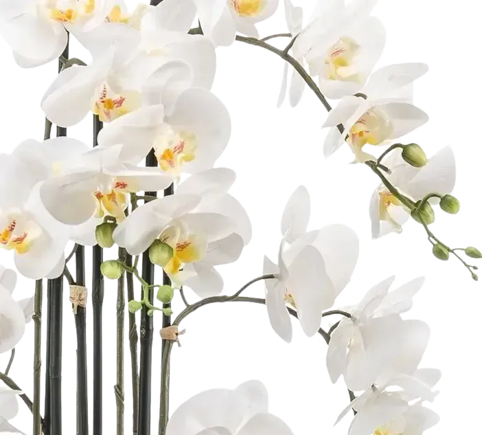 Künstliche Orchidee - Louisa | 100 cm auf transparentem Hintergrund, als Ausschnitt fotografiert, damit die Details der Kunstpflanze bzw. des Kunstbaums noch deutlicher zu erkennen sind.