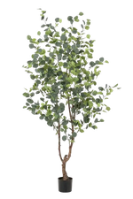 Künstlicher Eucalyptus Baum - Christopher, 180 cm, Kunstbaum von aplanta, in Natur, für drinnen