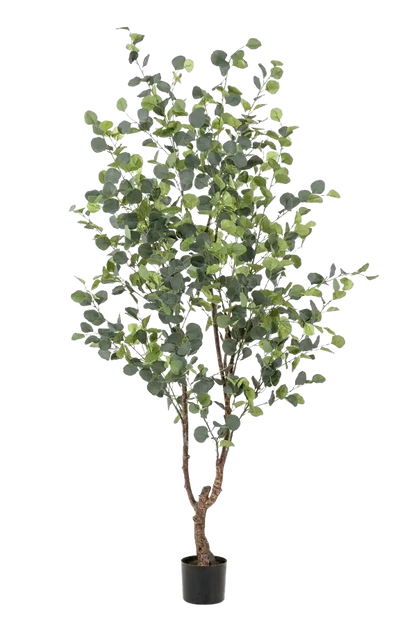 Künstlicher Eucalyptus Baum - Christopher, 180 cm, Kunstbaum von aplanta, in Natur, für drinnen