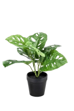 Künstliche Monstera - Jonah, 30 cm, Kunstpflanze von aplanta, im schwarzen Topf, in Natur, für drinnen