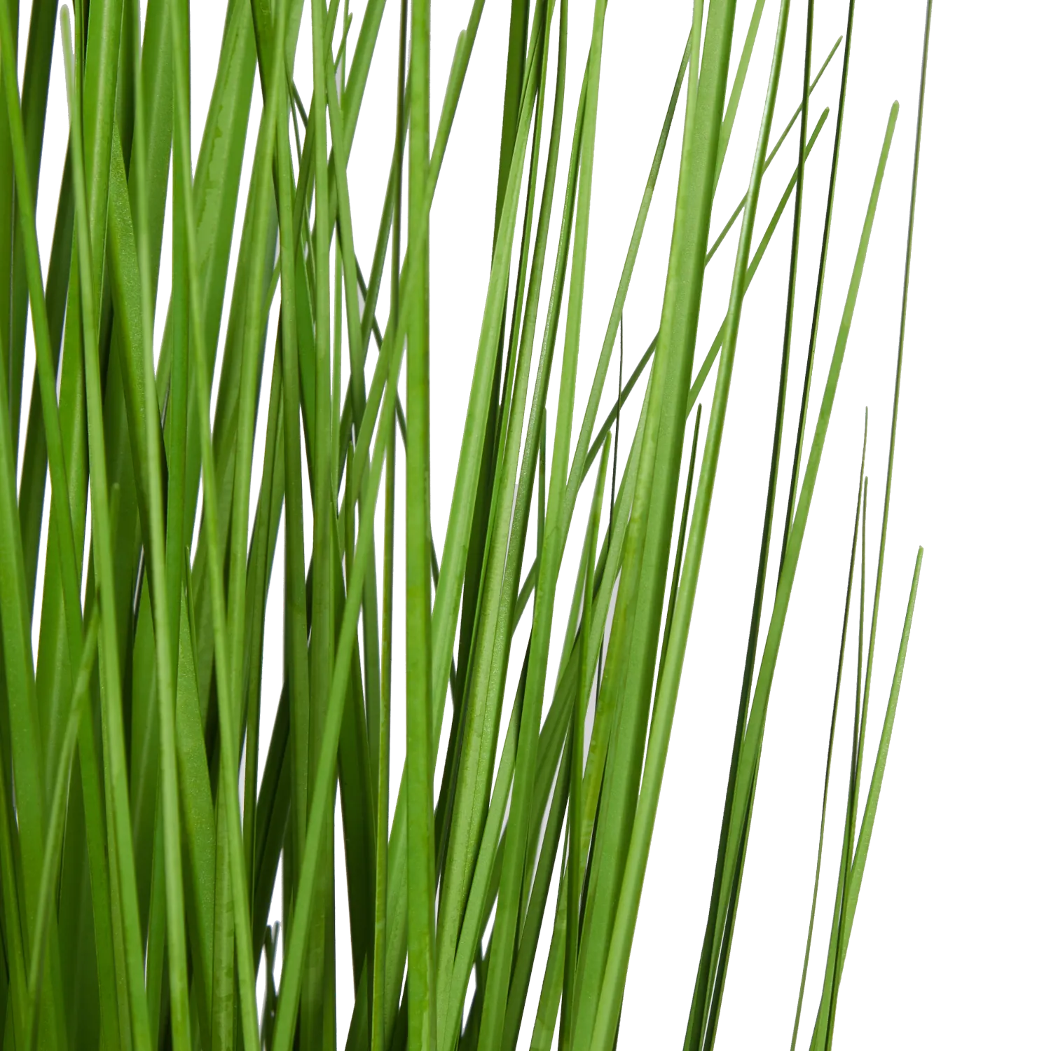 Künstliches Gras - Chiara | 90 cm