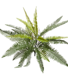 Künstlicher Schwertfarn - Sen | 69 cm