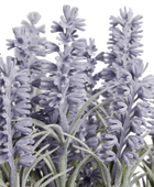 Künstlicher Lavendel - Lotte | 36 cm