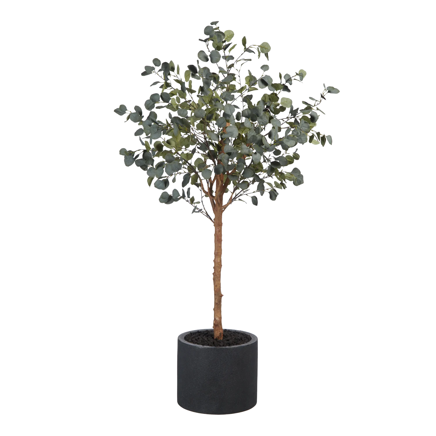 Künstlicher Eucalyptus Baum - Parla | 180 cm