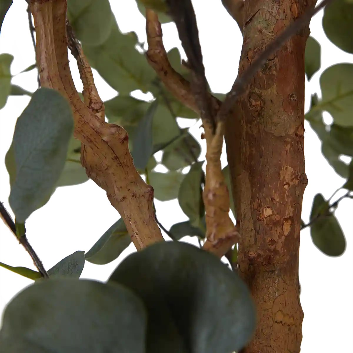 Künstlicher Eucalyptus Baum - Parla | 180 cm