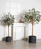 Künstlicher Eucalyptus Baum - Parla | 180 cm