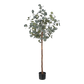 Künstlicher Eucalyptus Baum - Parla, 150 cm, Kunstbaum von aplanta, mit Echtholzstamm, in Grün, für drinnen