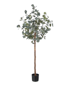 Künstlicher Eucalyptus Baum - Parla | 150 cm