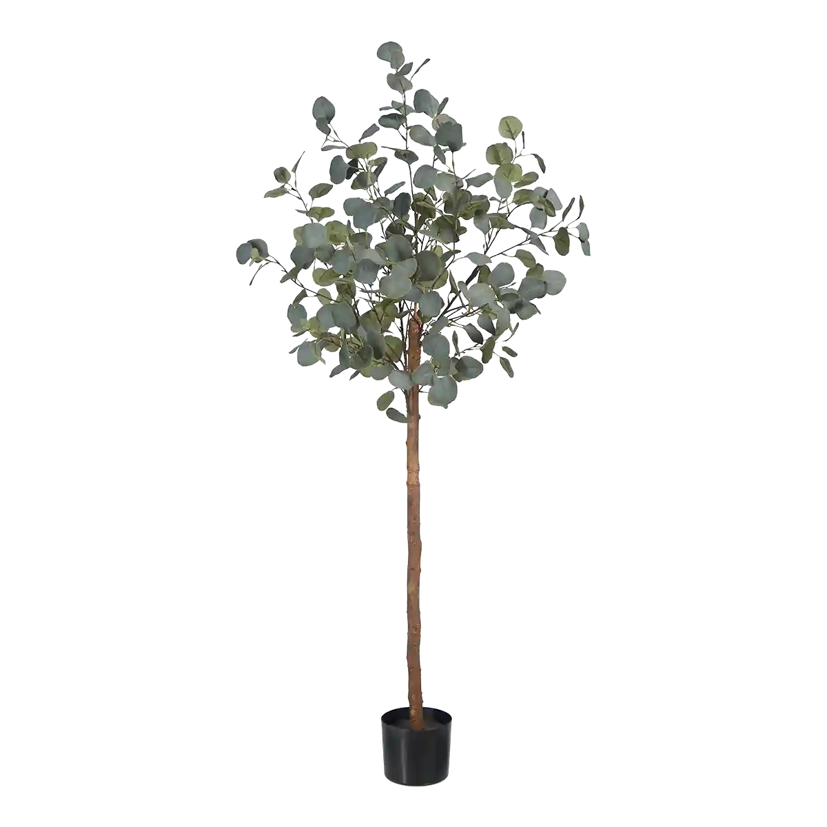 Künstlicher Eucalyptus Baum - Parla | 150 cm