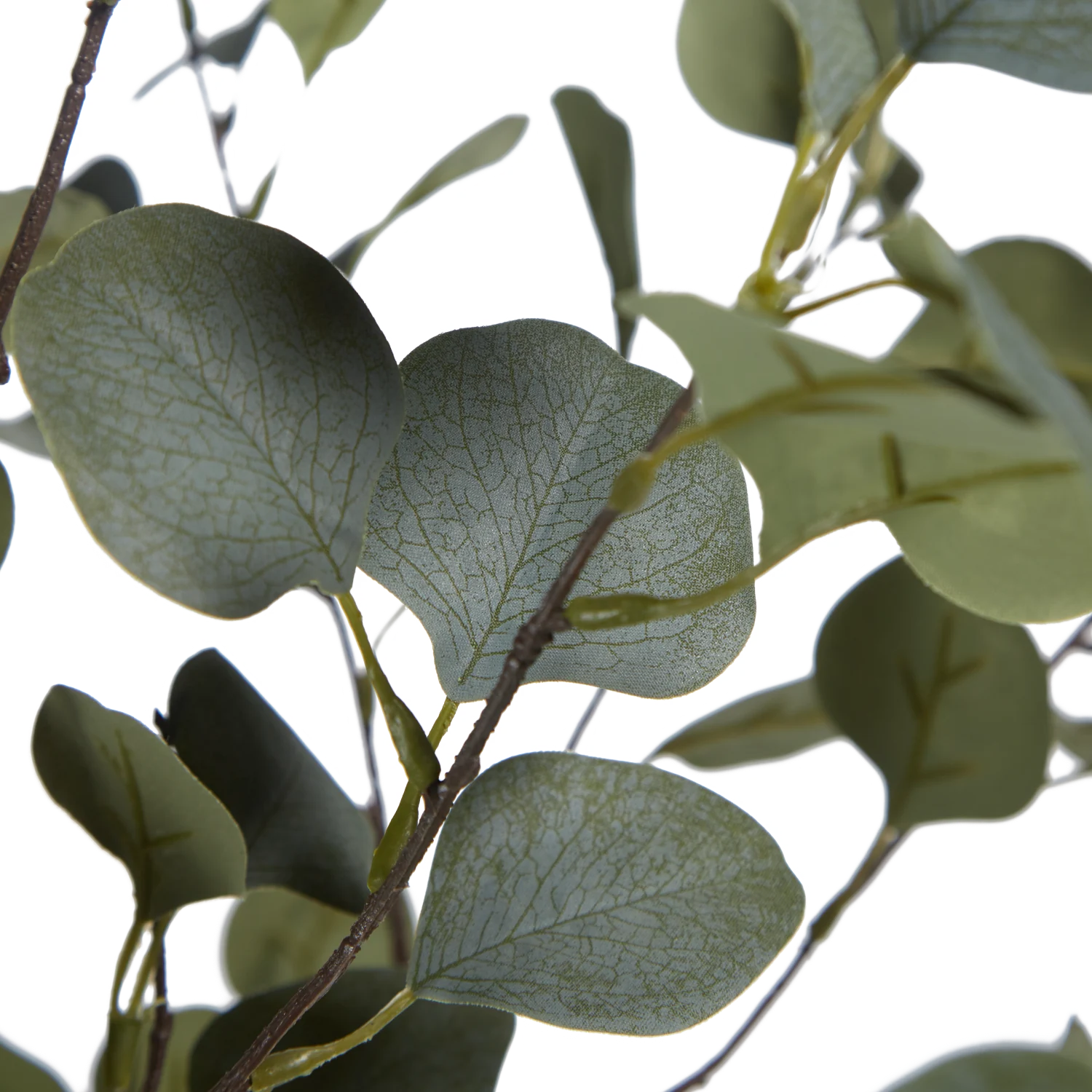 Künstlicher Eucalyptus Baum - Parla | 150 cm