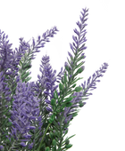 Künstlicher Lavendel - Lakos | 26 cm
