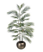 Künstliche Bergpalme - Nolte | 140 cm