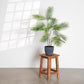 Künstliche Bergpalme - Nolte, 100 cm, Kunstbaum von aplanta, in Grün, für drinnen