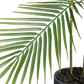 Künstliche Bergpalme - Nolte, 100 cm, Kunstbaum von aplanta, in Grün, für drinnen