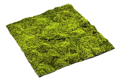 Künstliche Torfmoos Matte - Magnus, Kunstpflanze von aplanta, in Natur, für drinnen
