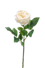 Hochwertige Hortensie künstlich auf transparentem Hintergrund mit echt wirkenden Kunstblättern in natürlicher Anordnung. Künstliche Rose - Miranda hat die Farbe Creme und ist 60 cm hoch. | aplanta Kunstpflanzen