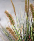 Lâmpada artificial limpa relva - Paulin | 45 cm