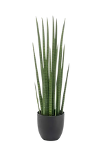 Künstlicher Bogenhanf - Joleen auf transparentem Hintergrund mit echt wirkenden Kunstblättern. Diese Kunstpflanze gehört zur Gattung/Familie der "Sansevierias" bzw. "Kunst-Sansevierias".