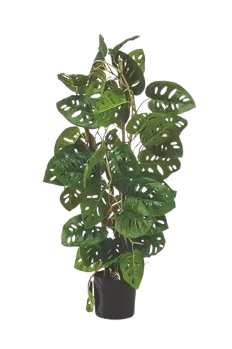 Künstliche Monstera - Jonathan, 75 cm, Kunstpflanze von aplanta, im schwarzen Topf, in Natur, für drinnen
