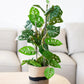 Künstliche Monstera - Jonathan, 75 cm, Kunstpflanze von aplanta, im schwarzen Topf, in Natur, für drinnen