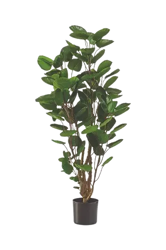 Künstliche Fiederaralie - Milan, 105 cm, Kunstbaum von aplanta, im schwarzen Topf, in Natur, für drinnen