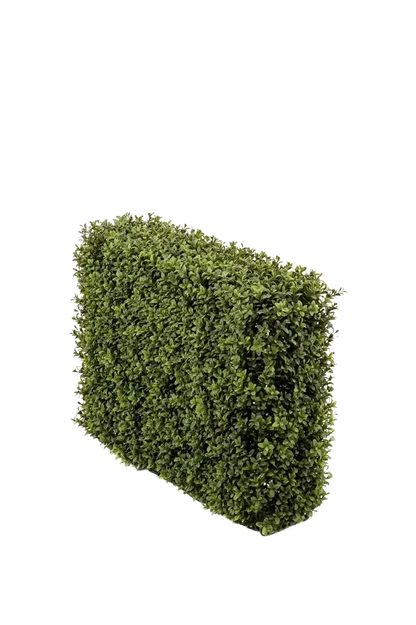 Künstliche Buchsbaumhecke - Jannis auf transparentem Hintergrund mit echt wirkenden Kunstblättern. Diese Kunstpflanze gehört zur Gattung/Familie der "Buchsbäume" bzw. "Kunst-Buchsbäume".