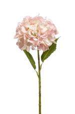 Künstliche Hortensie - Mambo, 52 cm, Kunstpflanze von aplanta, Real Touch, Steckpflanze, in Natur, für drinnen