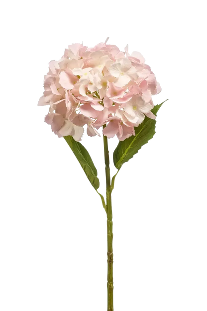 Künstliche Hortensie - Mambo, 52 cm, Kunstpflanze von aplanta, Real Touch, Steckpflanze, in Natur, für drinnen
