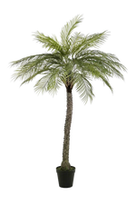 Künstliche Phoenix Palme - Marun, 220 cm, Kunstbaum von aplanta, UV-beständig, in Grün, für draußen