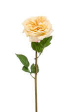 Hochwertige Hortensie künstlich auf transparentem Hintergrund mit echt wirkenden Kunstblättern in natürlicher Anordnung. Künstliche Rose - Minerva hat die Farbe Gelb und ist 60 cm hoch. | aplanta Kunstpflanzen