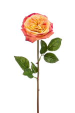 Hochwertige Hortensie künstlich auf transparentem Hintergrund mit echt wirkenden Kunstblättern in natürlicher Anordnung. Künstliche Rose - Ginny hat die Farbe Pink / Gelb und ist 60 cm hoch. | aplanta Kunstpflanzen