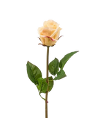 Hochwertige Hortensie künstlich auf transparentem Hintergrund mit echt wirkenden Kunstblättern in natürlicher Anordnung. Künstliche Rose - Luna hat die Farbe Gelb und ist 58 cm hoch. | aplanta Kunstpflanzen