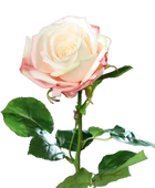 Künstliche Rose - Xenia | 66 cm