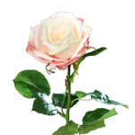 Künstliche Rose - Xenia | 66 cm