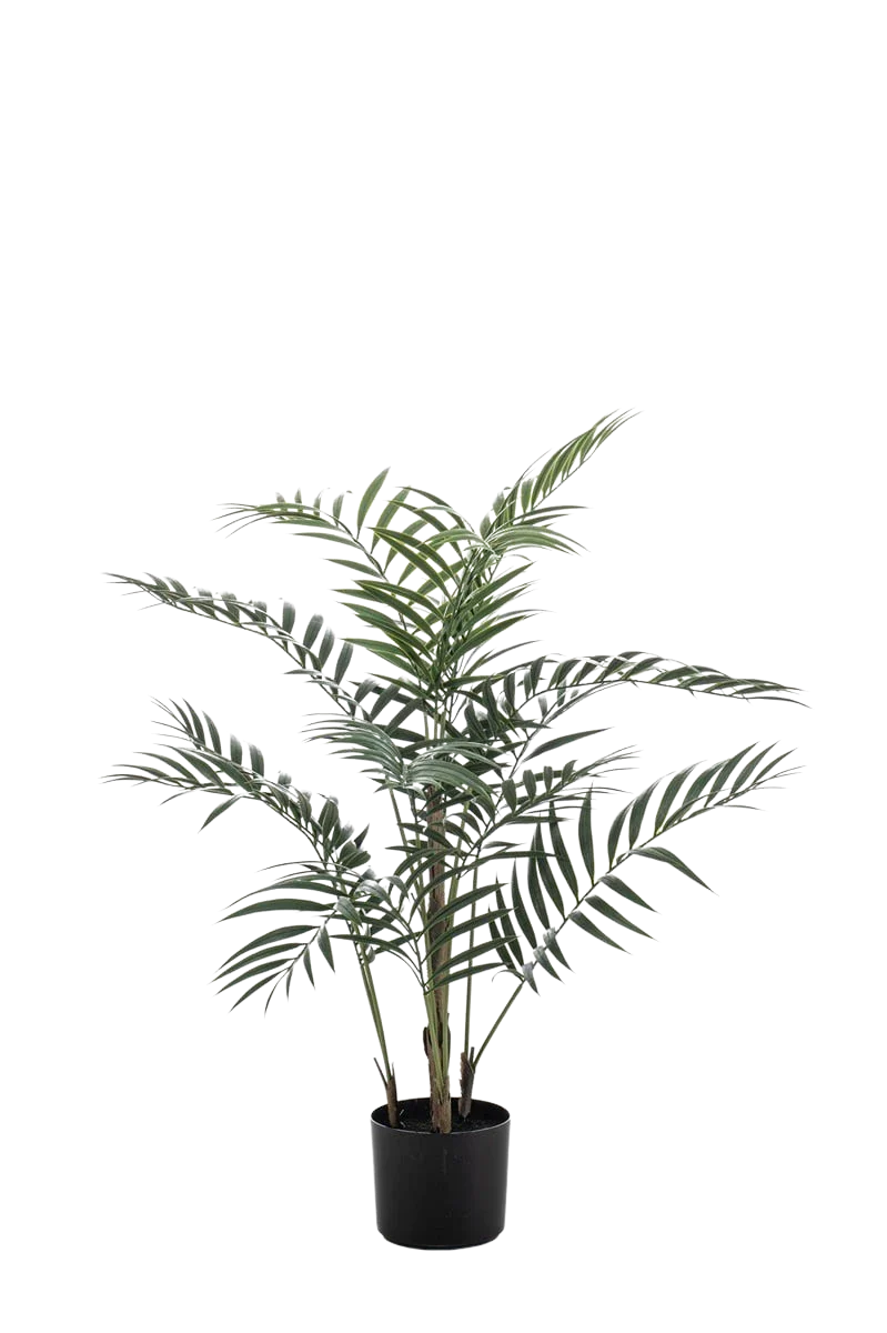 Künstliche Palme - Denver | 90 cm