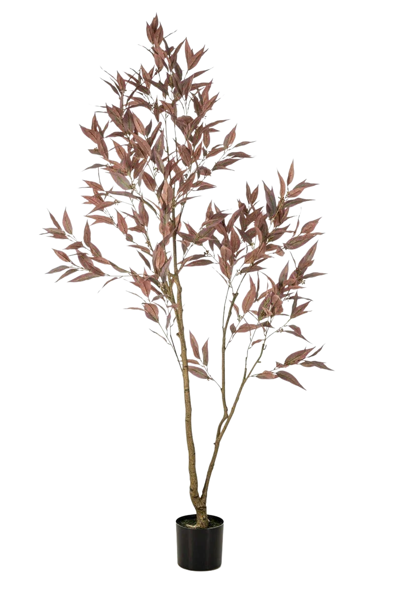 Künstlicher Eucalyptus - Fey | 200 cm