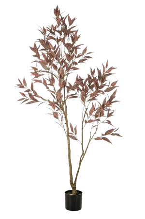 Künstlicher Eucalyptus - Fey | 200 cm