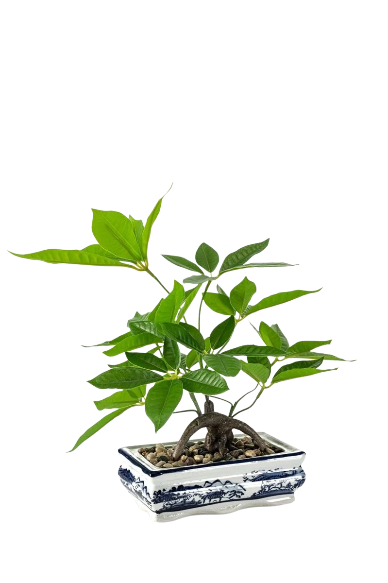 Künstlicher Bonsai - Damian | 38 cm