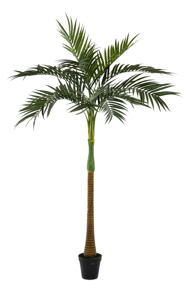 Künstliche Palme - Zasta | 245 cm