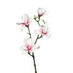 Künstliche Magnolien Zweig - Lea, 80 cm, Kunstpflanze von aplanta, in Weiß-rosa, für drinnen
