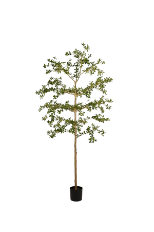 Künstlicher schwarzer Olivenbaum - Finja | 210 cm