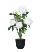 Hochwertige Kunstblumen | Künstliche Pfingstrose - Diletta | 57 cm von 🌱aplanta