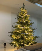 Árvore de Natal artificial - Balthasar | 210 cm