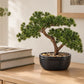 Künstlicher Bonsai - Nina | 26 cm