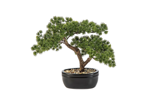 Künstlicher Bonsai - Nina | 26 cm
