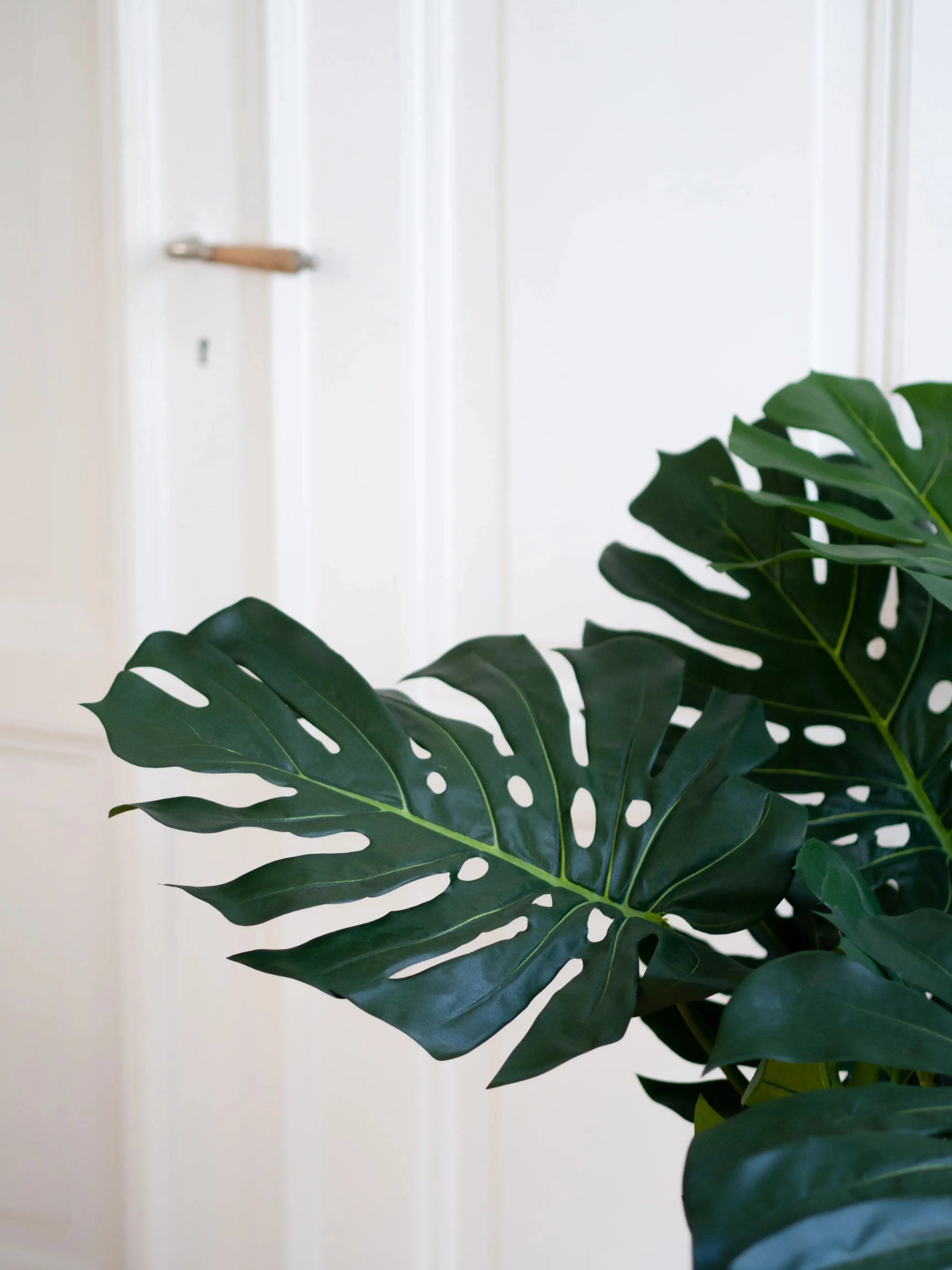 Künstliche Monstera - Fatima | 100 cm