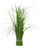 Hochwertiges Kunstgras auf transparentem Hintergrund mit echt wirkenden Kunstblättern in natürlicher Anordnung. Künstliches California-Beach-Stehgras - Gero hat die Farbe Natur und ist 40 cm hoch. | aplanta Kunstpflanzen